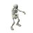 Skeleton